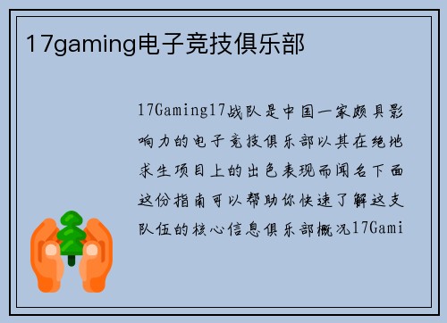 17gaming电子竞技俱乐部